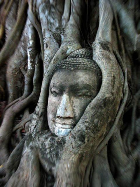 Somjai Place Ayutthaya Bagian luar foto